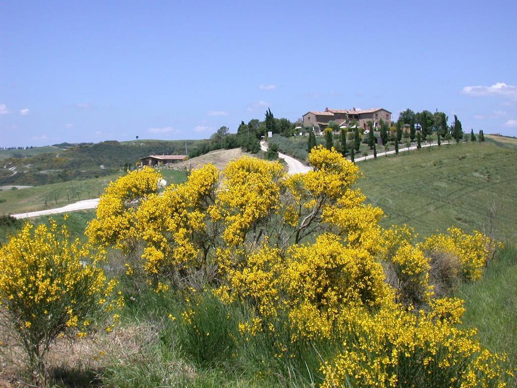 Agriturismo Palazzo Conti A Pienza Eksteriør bilde